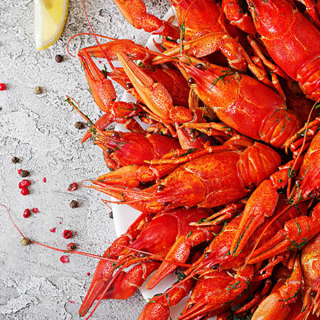 lobster