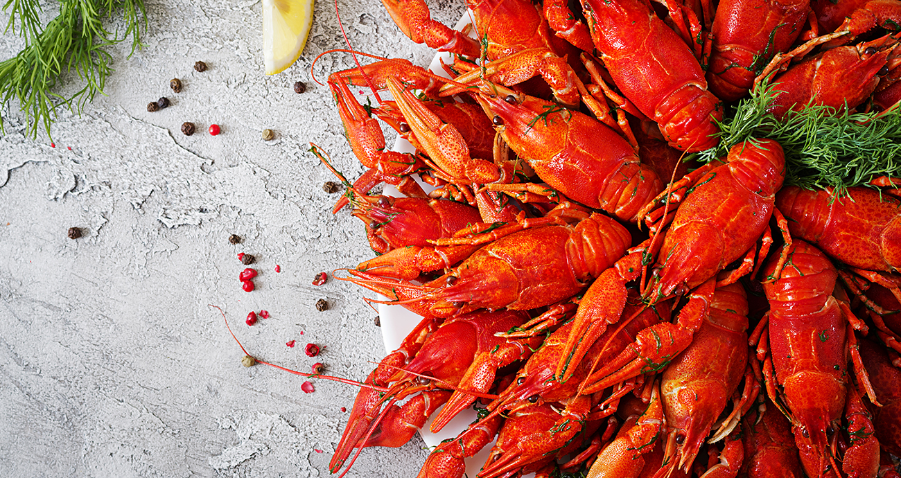 lobster